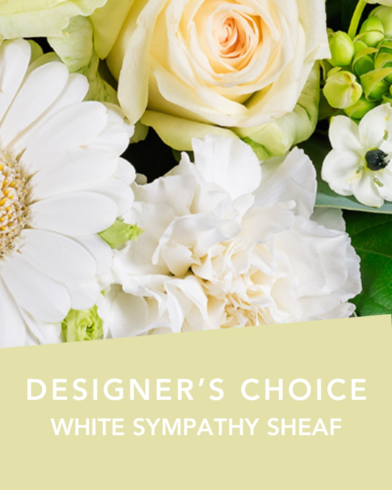 DC WHITE SYMPATHY SHEAF
