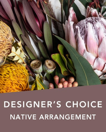 DC NATIVE ARRANGEMENT