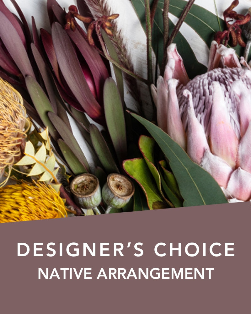 DC NATIVE ARRANGEMENT