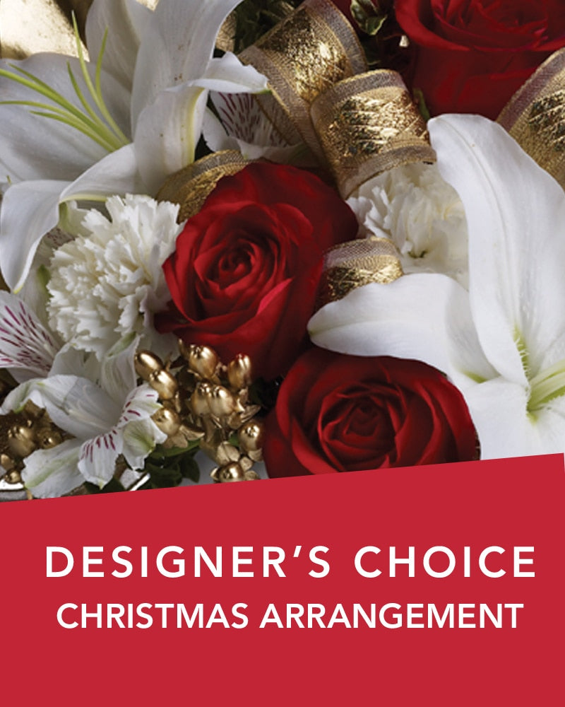 DC CHRISTMAS ARRANGEMENT