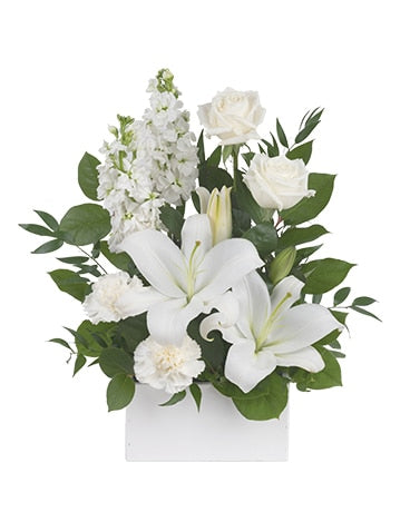WHITE SIMPLICITY