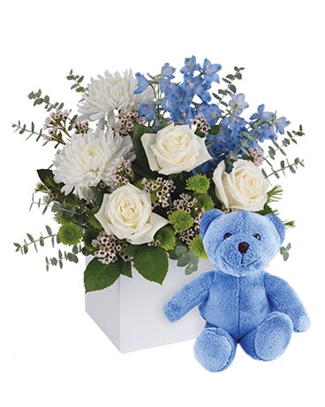 IT'S A BOY WITH TEDDY