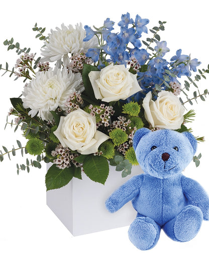 IT'S A BOY WITH TEDDY
