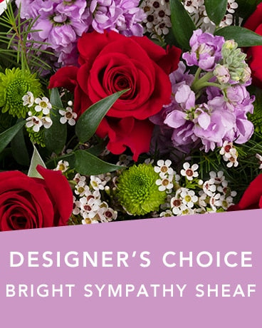 DC BRIGHT SYMPATHY SHEAF