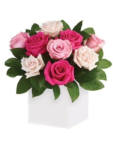 BLUSHING ROSES