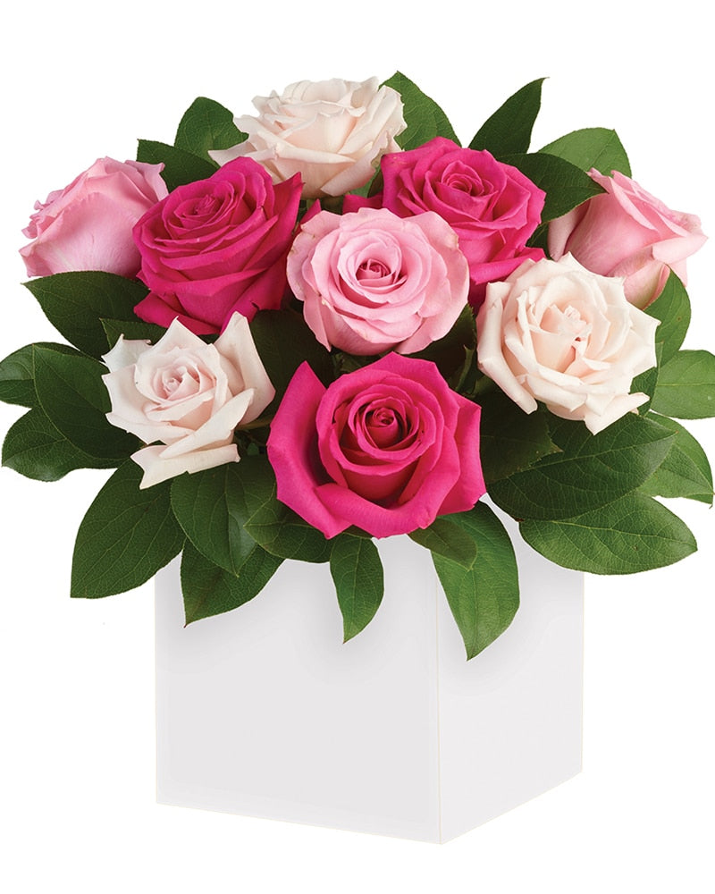 BLUSHING ROSES